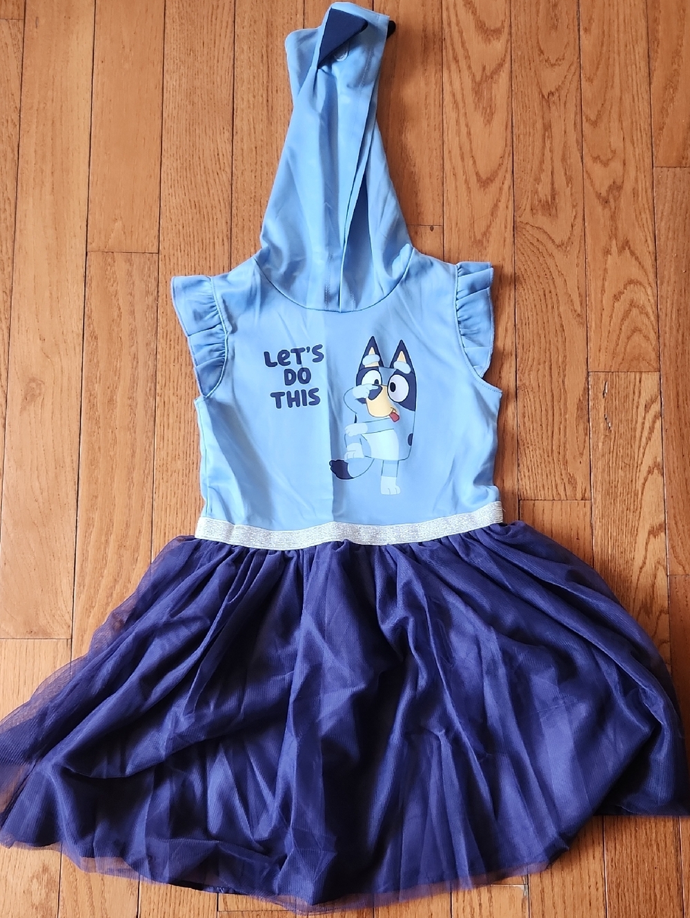 Girls' Blue Hooded Character Tulle Dress - Let's Do This